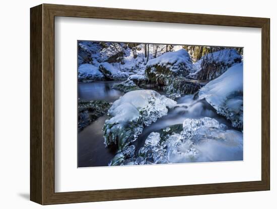 Stream Course in the Winter Wood, Triebtal, Vogtland, Saxony, Germany-Falk Hermann-Framed Photographic Print