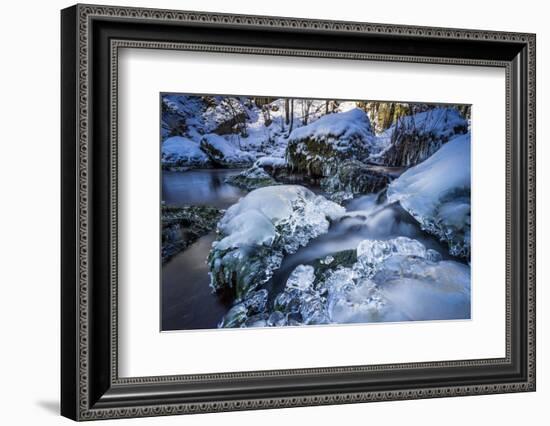 Stream Course in the Winter Wood, Triebtal, Vogtland, Saxony, Germany-Falk Hermann-Framed Photographic Print