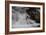 Stream Falls I-Logan Thomas-Framed Photographic Print