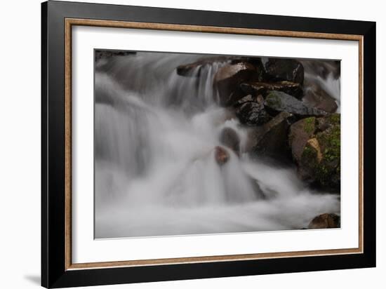 Stream Falls I-Logan Thomas-Framed Photographic Print