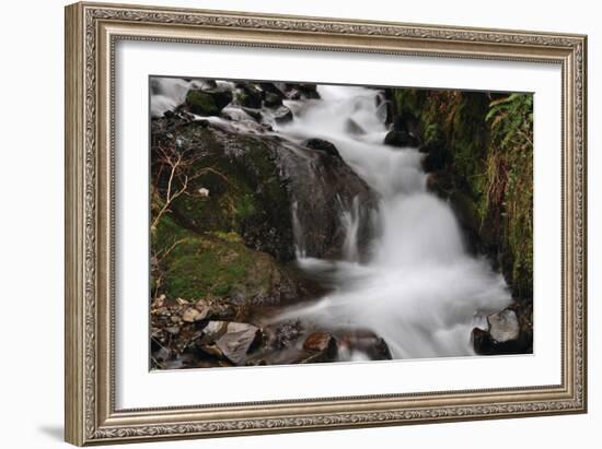 Stream Falls III-Logan Thomas-Framed Photographic Print