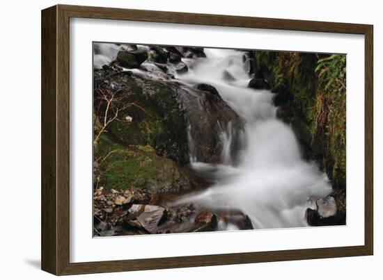 Stream Falls III-Logan Thomas-Framed Photographic Print