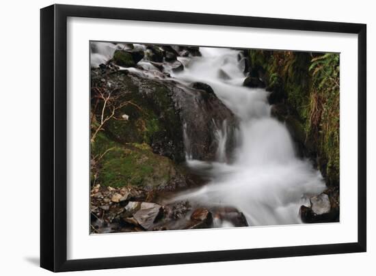 Stream Falls III-Logan Thomas-Framed Photographic Print