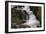 Stream Falls III-Logan Thomas-Framed Photographic Print