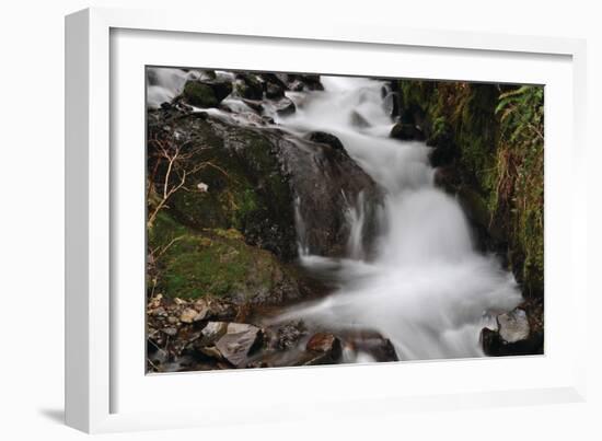 Stream Falls III-Logan Thomas-Framed Photographic Print