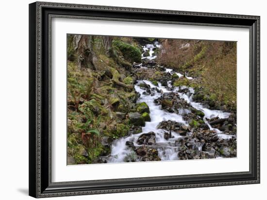 Stream Falls VI-Logan Thomas-Framed Photographic Print