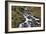 Stream Falls VI-Logan Thomas-Framed Photographic Print