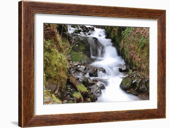 Stream Falls VII-Logan Thomas-Framed Photographic Print