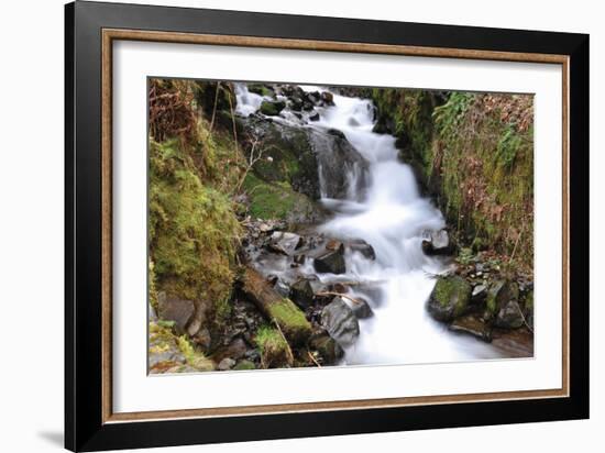 Stream Falls VII-Logan Thomas-Framed Photographic Print