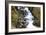 Stream Falls VII-Logan Thomas-Framed Photographic Print