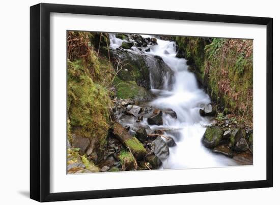 Stream Falls VII-Logan Thomas-Framed Photographic Print