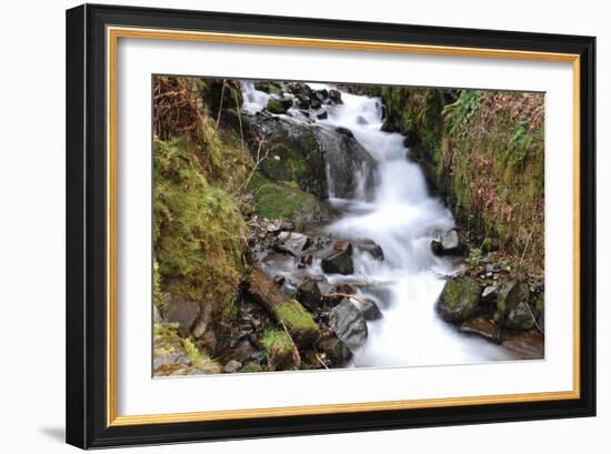 Stream Falls VII-Logan Thomas-Framed Photographic Print