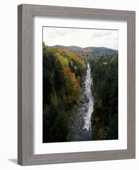 Stream Flowing in a Forest, Quechee Gorge, Windsor County, Vermont, USA-null-Framed Photographic Print