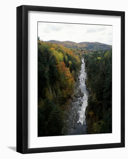 Stream Flowing in a Forest, Quechee Gorge, Windsor County, Vermont, USA-null-Framed Photographic Print