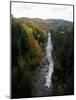 Stream Flowing in a Forest, Quechee Gorge, Windsor County, Vermont, USA-null-Mounted Photographic Print