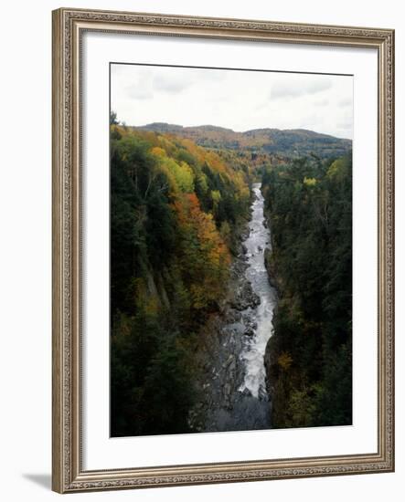 Stream Flowing in a Forest, Quechee Gorge, Windsor County, Vermont, USA-null-Framed Photographic Print