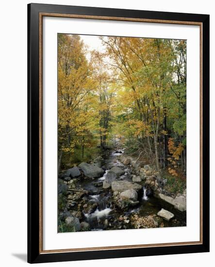 Stream Flowing in a Forest, Vermont, USA-null-Framed Photographic Print