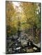 Premium Photographic Print