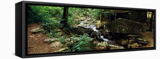 Stream Flowing in Forest, Lost Valley State Park, Ozark National Forest, Ozark Mountains, Arkansas-null-Framed Premier Image Canvas
