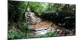 Photographic Print