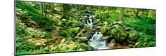 Photographic Print