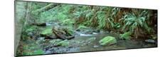 Photographic Print