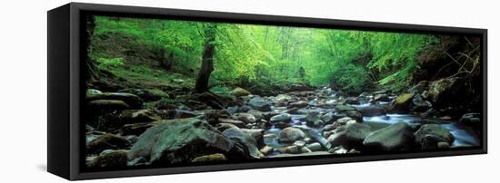 Stream Flowing Through Rocks, Aberfeldy, Perthshire, Scotland-null-Framed Premier Image Canvas