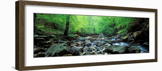 Stream Flowing Through Rocks, Aberfeldy, Perthshire, Scotland-null-Framed Photographic Print