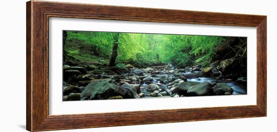 Stream Flowing Through Rocks, Aberfeldy, Perthshire, Scotland-null-Framed Photographic Print