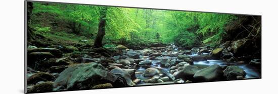 Stream Flowing Through Rocks, Aberfeldy, Perthshire, Scotland-null-Mounted Photographic Print