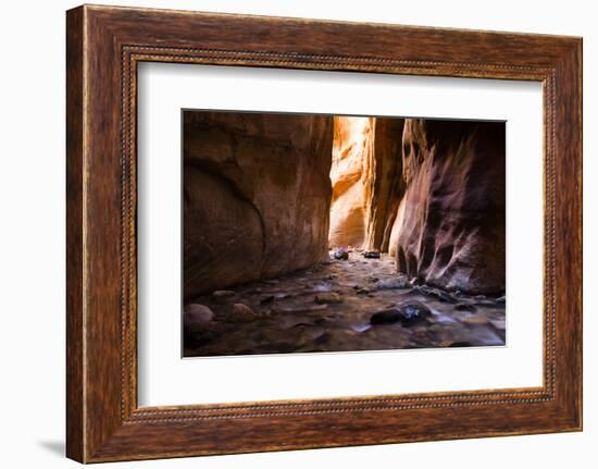 Stream flowing through rocks, Grand Staircase-Escalante National Monument, Zion National Park, U...-Panoramic Images-Framed Photographic Print