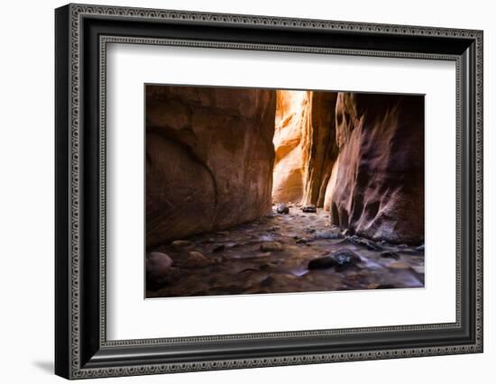 Stream flowing through rocks, Grand Staircase-Escalante National Monument, Zion National Park, U...-Panoramic Images-Framed Photographic Print