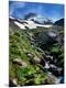 Photographic Print
