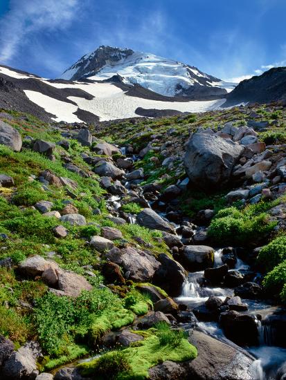 Premium Photographic Print, , large