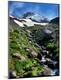 Photographic Print