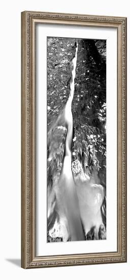 Stream Flowing Through Rocks, North Creek, Zion National Park, Utah, USA-null-Framed Photographic Print