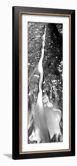 Stream Flowing Through Rocks, North Creek, Zion National Park, Utah, USA-null-Framed Photographic Print