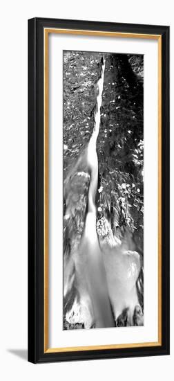 Stream Flowing Through Rocks, North Creek, Zion National Park, Utah, USA-null-Framed Photographic Print