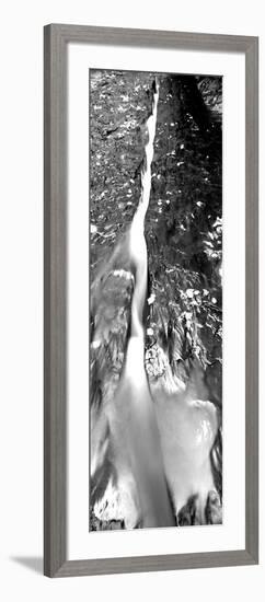 Stream Flowing Through Rocks, North Creek, Zion National Park, Utah, USA-null-Framed Photographic Print