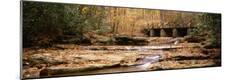 Premium Photographic Print