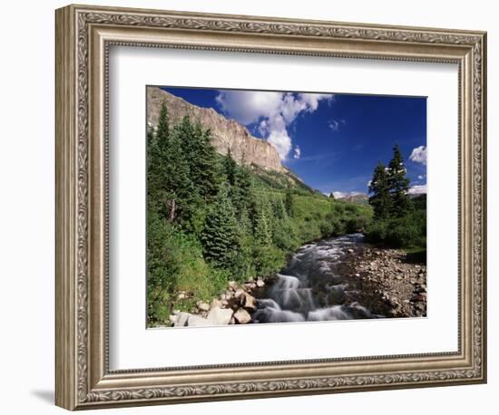 Stream Flowing Through Trees, Gunnison National Forest, Colorado, USA-Adam Jones-Framed Photographic Print