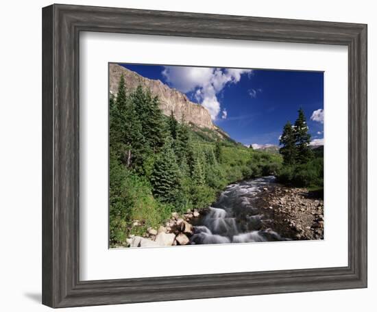 Stream Flowing Through Trees, Gunnison National Forest, Colorado, USA-Adam Jones-Framed Photographic Print