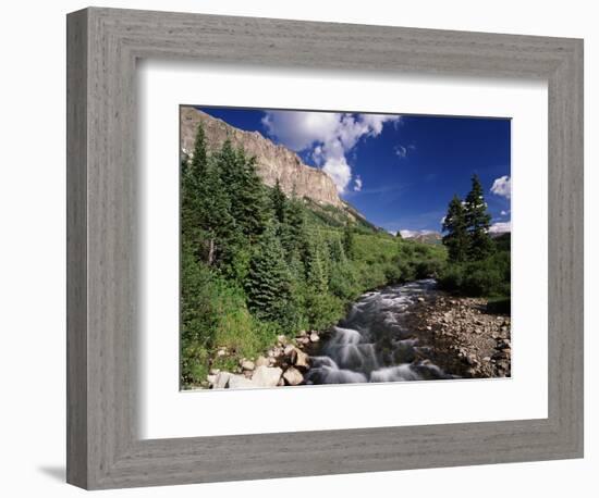 Stream Flowing Through Trees, Gunnison National Forest, Colorado, USA-Adam Jones-Framed Photographic Print