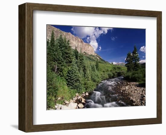 Stream Flowing Through Trees, Gunnison National Forest, Colorado, USA-Adam Jones-Framed Photographic Print