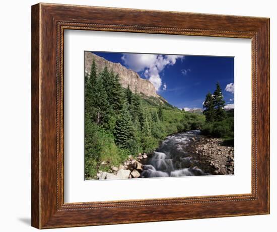 Stream Flowing Through Trees, Gunnison National Forest, Colorado, USA-Adam Jones-Framed Photographic Print