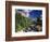 Stream Flowing Through Trees, Gunnison National Forest, Colorado, USA-Adam Jones-Framed Photographic Print