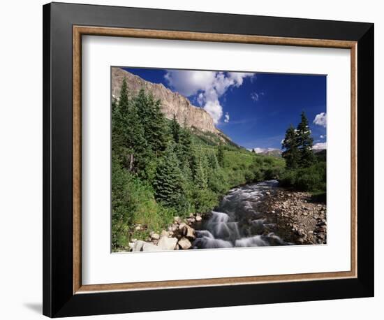 Stream Flowing Through Trees, Gunnison National Forest, Colorado, USA-Adam Jones-Framed Photographic Print