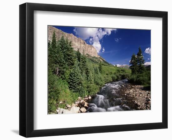 Stream Flowing Through Trees, Gunnison National Forest, Colorado, USA-Adam Jones-Framed Photographic Print