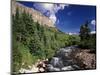 Stream Flowing Through Trees, Gunnison National Forest, Colorado, USA-Adam Jones-Mounted Photographic Print