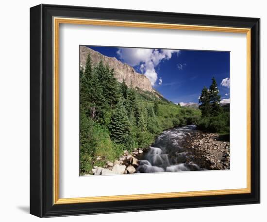 Stream Flowing Through Trees, Gunnison National Forest, Colorado, USA-Adam Jones-Framed Photographic Print